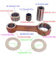 Crankshaft Connecting Rod Con Kits for Yamaha Outboard Motor 6HP 8HP 6D 4 Stroke EMS/L 6HP 6C M(W) HS/L MS/LH - 6N0-E1651-00 - 6G1-11651-01 - RCMA